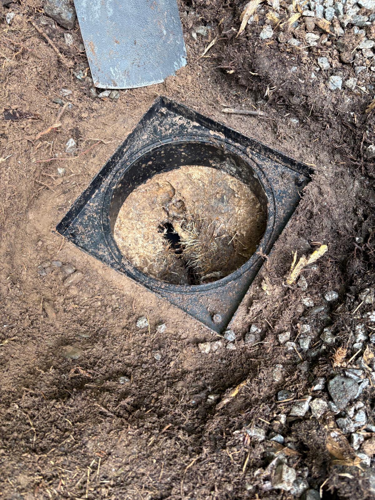 Drain Unblocking